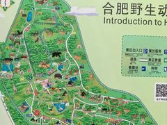 -合肥野生动物园