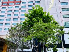 -王府半岛酒店