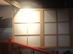 -白兔子密室(长寿路店)