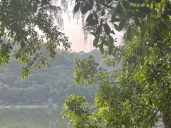 -火炉山森林公园