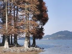 -四明湖