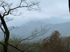 -广州市石门国家森林公园