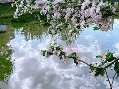 -元大都城垣遗址公园