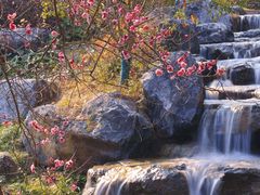 -中国茶叶博物馆(双峰馆区)
