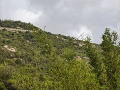 -东澳岛