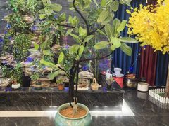 -尊足养生·影院足道·主题spa·采耳(浦江店)