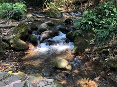 -莫里热带雨林景区