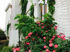 -金牛山大酒店(南北湖风景区店)