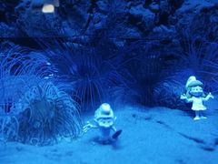-北戴河圣蓝海洋公园