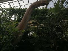 -呀路古热带植物园-恐龙馆