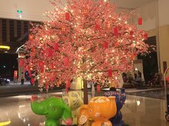 -西双版纳融创皇冠假日度假酒店