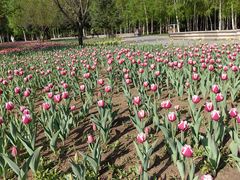 -长春公园(普阳街道)