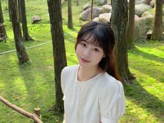 -玉苍山国家森林公园