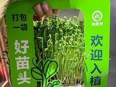 -海底捞大排档火锅(悦荟广场店)