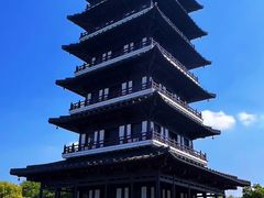 -宜兴龙背山森林公园