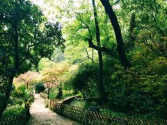 -岳麓山风景名胜区