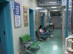 -北京观赏动物医院·24小时大型综合·猫专科·异宠专科