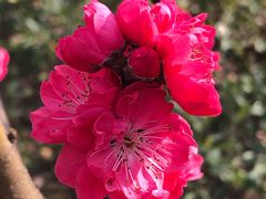 -上海市龙华烈士陵园