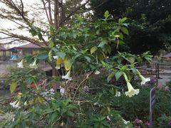 -龙潭生态旅游度假区