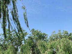 -南翠屏公园
