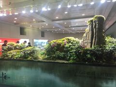 -福州长乐国际机场