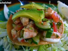 -Pistolera Mexican Cantina女枪手墨西哥餐厅(碧云路店)