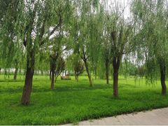 -南宁南湖公园