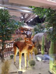 -鲁比猴非洲探索部落(喜盈门店)