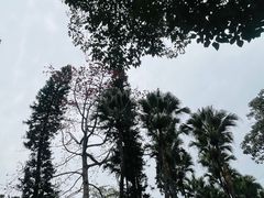 -广州中山纪念堂