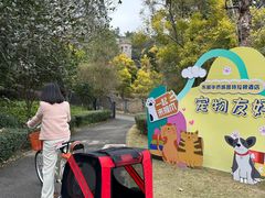 -深圳东部华侨城茵特拉根酒店