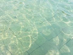 -柳浪游泳场