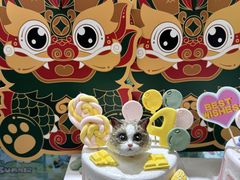 -FAELING PETS美天灵宠物(合生汇店)