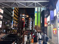 -秋叶原电器街