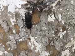 -南通博物苑-崇川人民公园