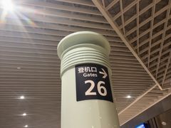 -青岛胶东国际机场