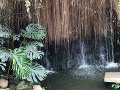 -北戴河集发农业梦想王国