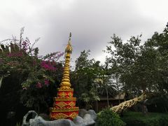 -瑞丽独树成林风景区