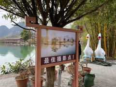 -靖西鹅泉风景区