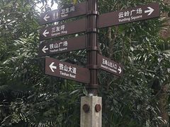 -铁山坪森林公园