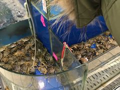 -吉麦隆(查桥商业广场店)