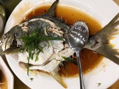 清蒸海鱼-双月饭店·20年老字号(新村店)