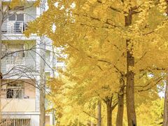 -上海交通大学(闵行校区)