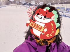 -绍兴启迪乔波冰雪世界