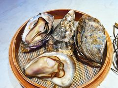 -杨氏青龙虾·羊蝎子(托乐嘉店)