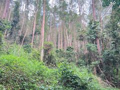 -水濂山森林公园