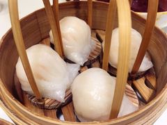 招牌虾饺皇-金鼎轩·滋养小餐馆(联想桥店)