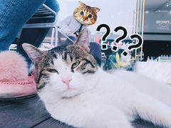 -UNI UNI(环亚凯瑟琳店)