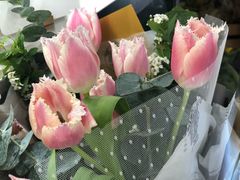 -植物学家的女儿(北马道巷店)