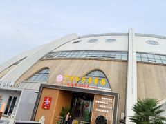 -丁老爷子苏香圆