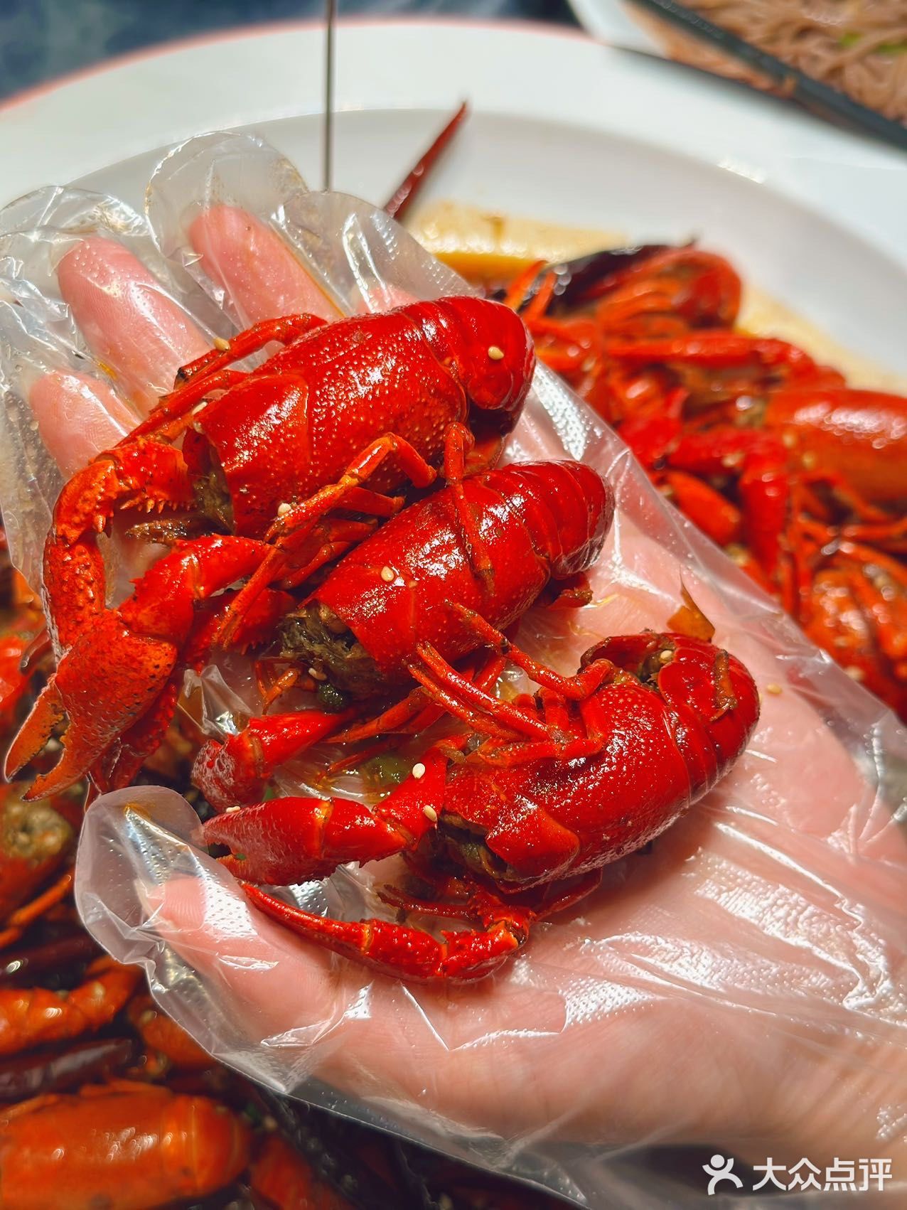魔都美食探店｜你无法拒绝的美味川菜